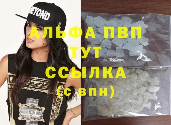 индика Горно-Алтайск