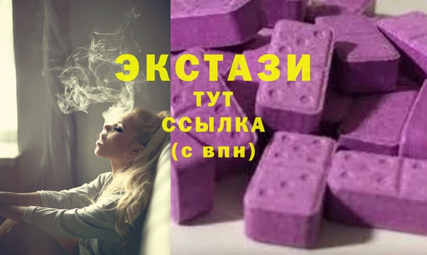 индика Горно-Алтайск