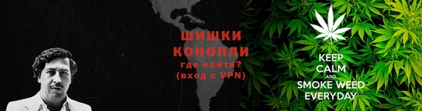 индика Горно-Алтайск