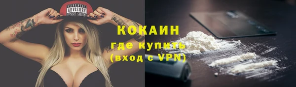 твердый Володарск