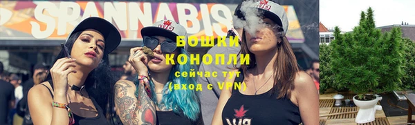 индика Горно-Алтайск